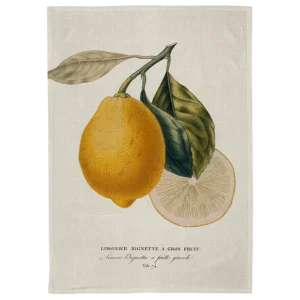 Kökshandduk, (50x70) Citron