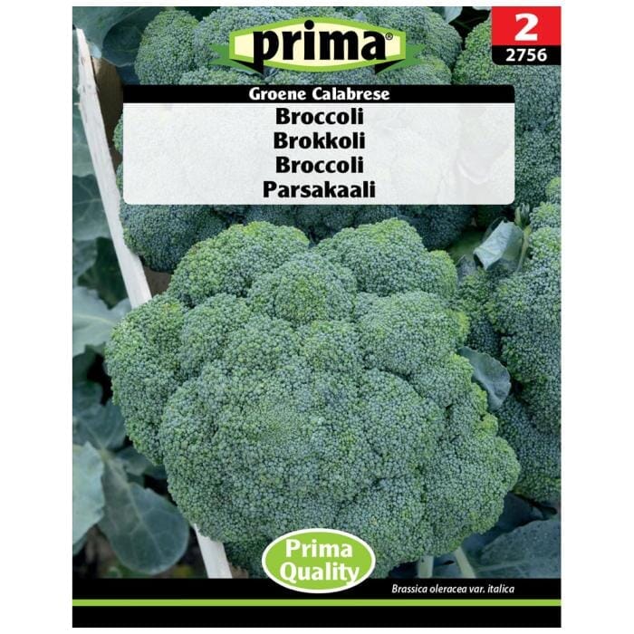 PRIMA® frön - Broccoli - Bild 2
