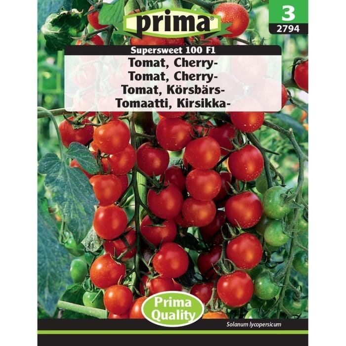 PRIMA® frön - Tomat, Körsbärs-