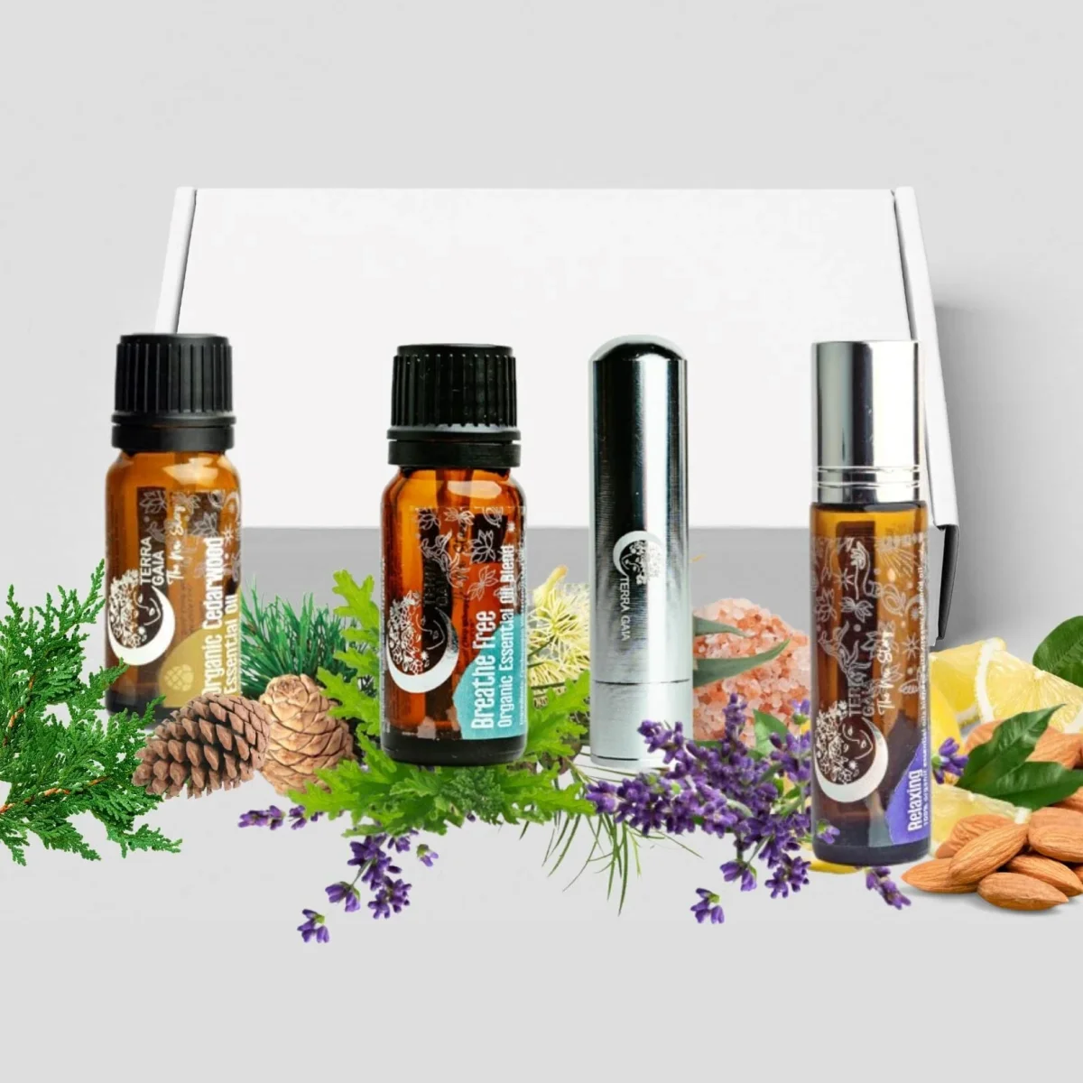 Terra Gaia erbjudande 2 : inhalator + 3 x 10 ml ekologisk eterisk olja - Bild 2