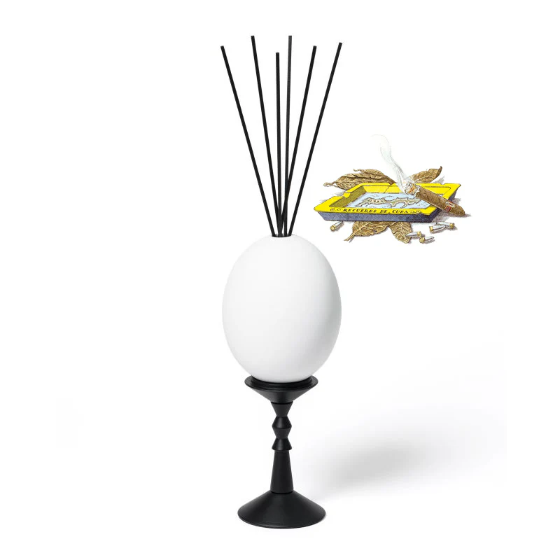 Trudon Diffuser, Ernesto