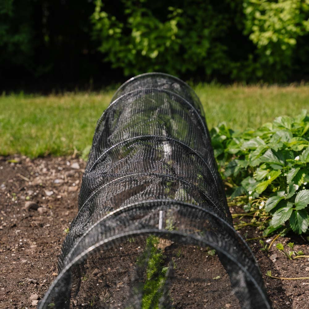 Net växttunnel, 310 cm - Bild 4