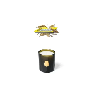 Trudon, Petite Ernesto
