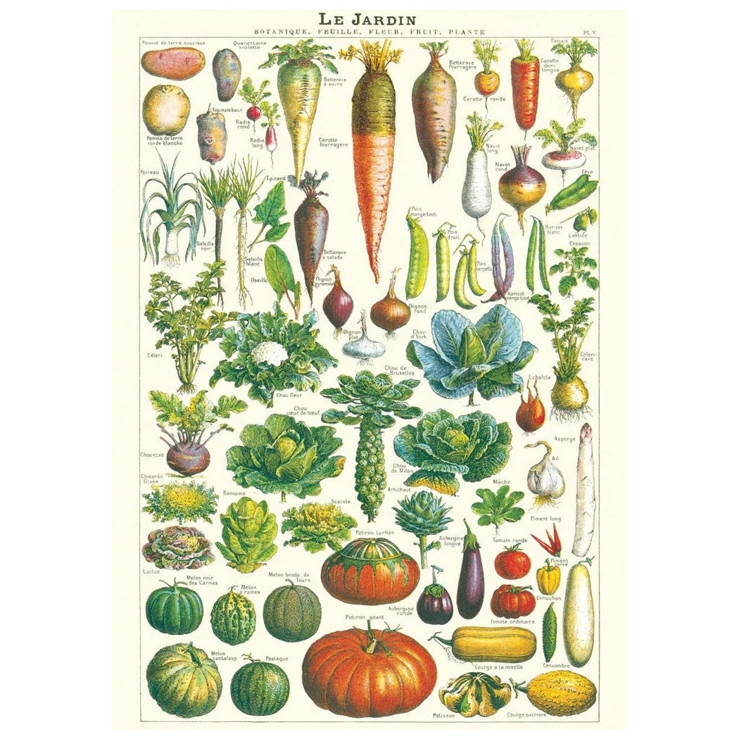 Poster, Grönsaker L (50 x 70 cm) - Bild 2