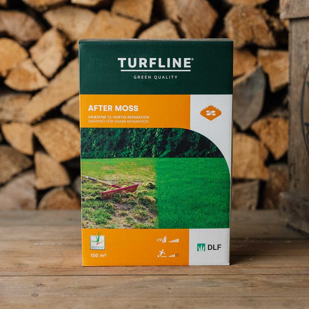 Turfline After Moss, 1 kg (100 m²) - Bild 2