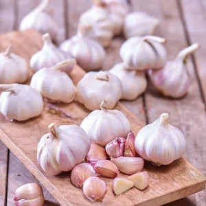 Vitlök 'Flavor'
